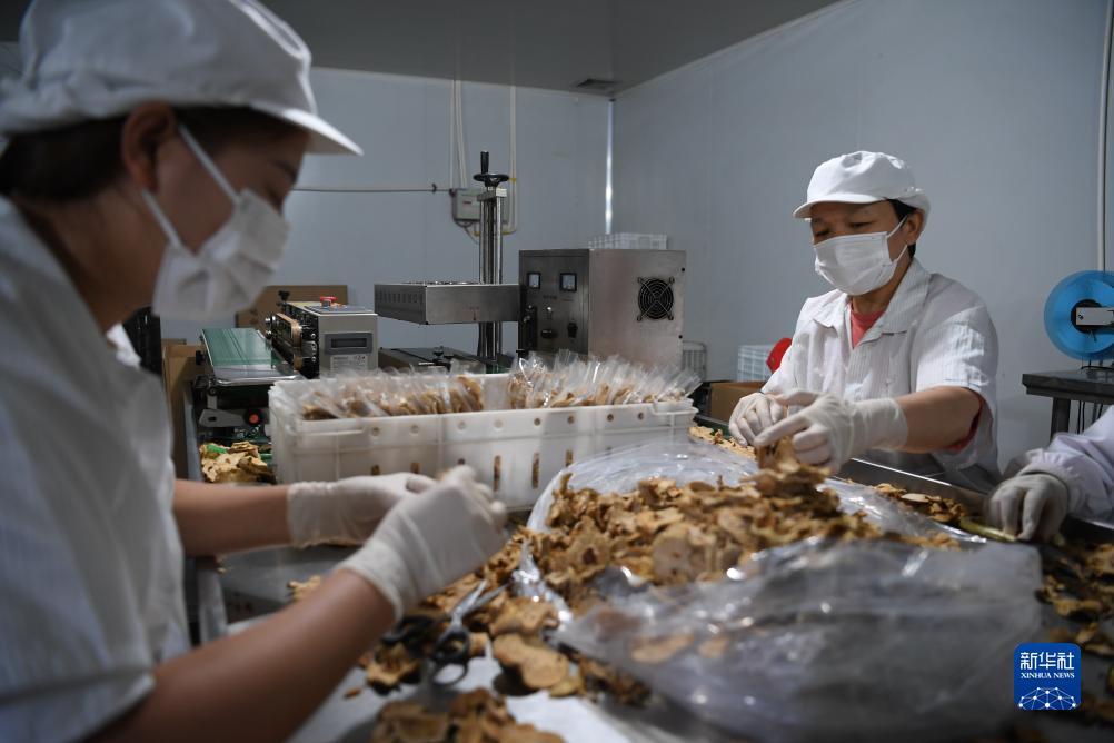 绑定送20万捕鱼金币